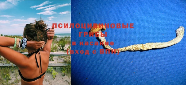 гидропоника Бугульма