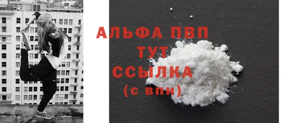 apvp Бородино