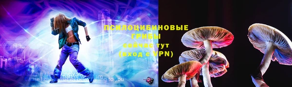apvp Бородино