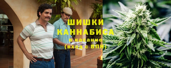 ECSTASY Богородск